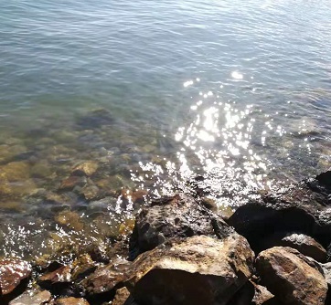 中国民航有专科吗?中国民航大学各省录取分数