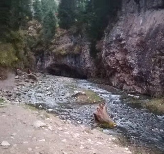 童话故事作文分享《当你走上去往童话的路》