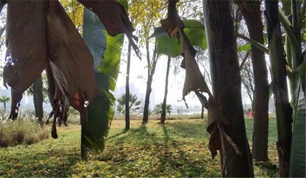 孩子做作业家长该不该陪？家长陪着做作业的几种方式