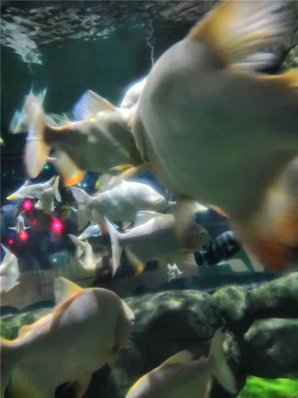 7~10岁的孩子应该怎么教育?教育小学孩子的十点建议