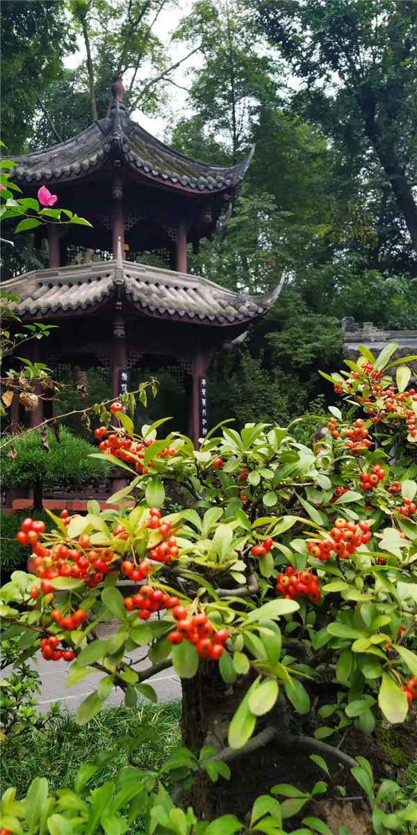 有哪些趣味课程能帮初中孩子减压吗?