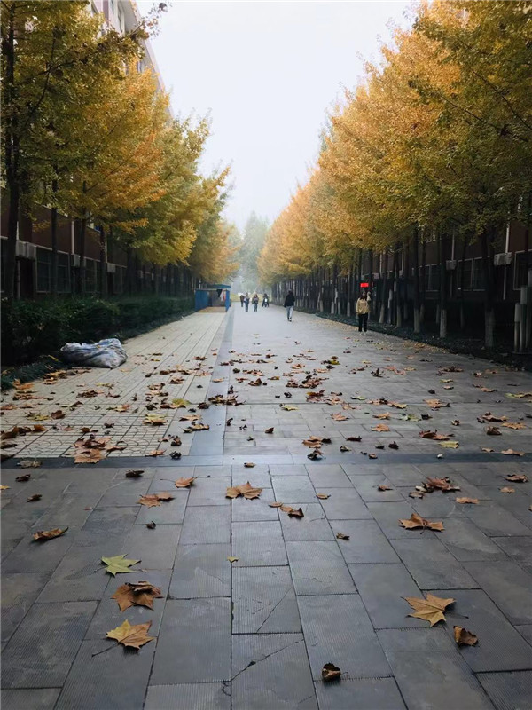 江苏省的教育在全国属于什么样的水平？江苏教育怎么样？