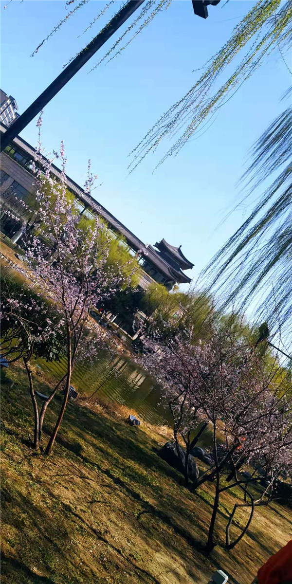 为什么小升初那么难？小学各年级学生应该如何准备小升初？