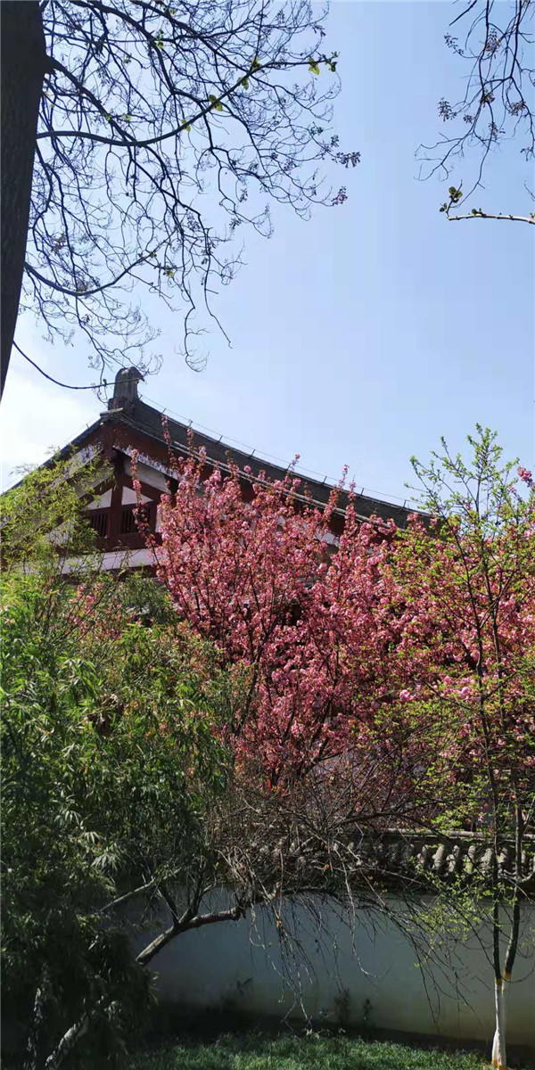 想要上重点大学，但分数不是特别高，能被录取吗？