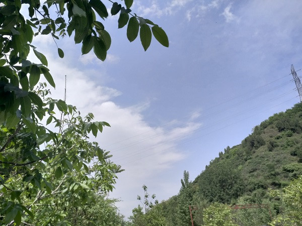 家长应该如何配合老师才能更好的教育孩子?