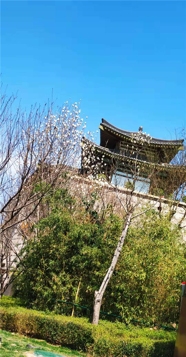 高考没考上大学要不要复读？上大学有什么好处？