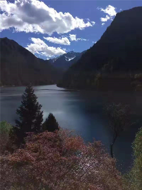衡水中学生学生压力有多大?衡中的学生有多苦?
