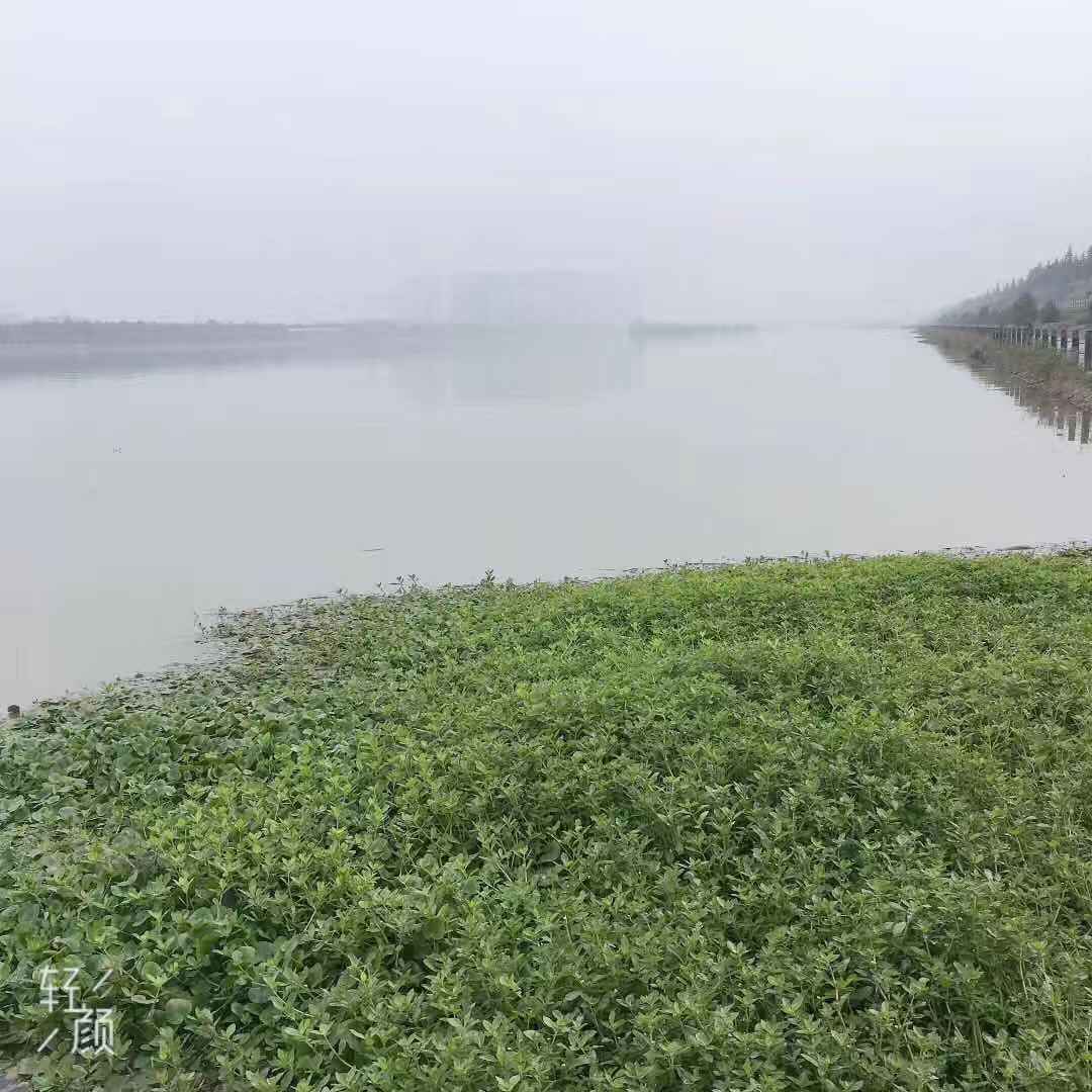 中国排名前十的财经大学   十大财经大学简介   财经大学排行榜
