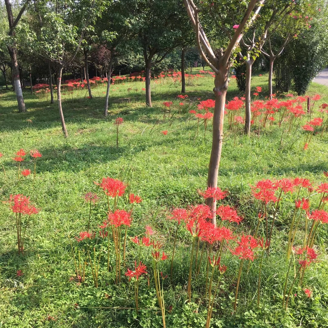 学生在外补习，到底是对是错？