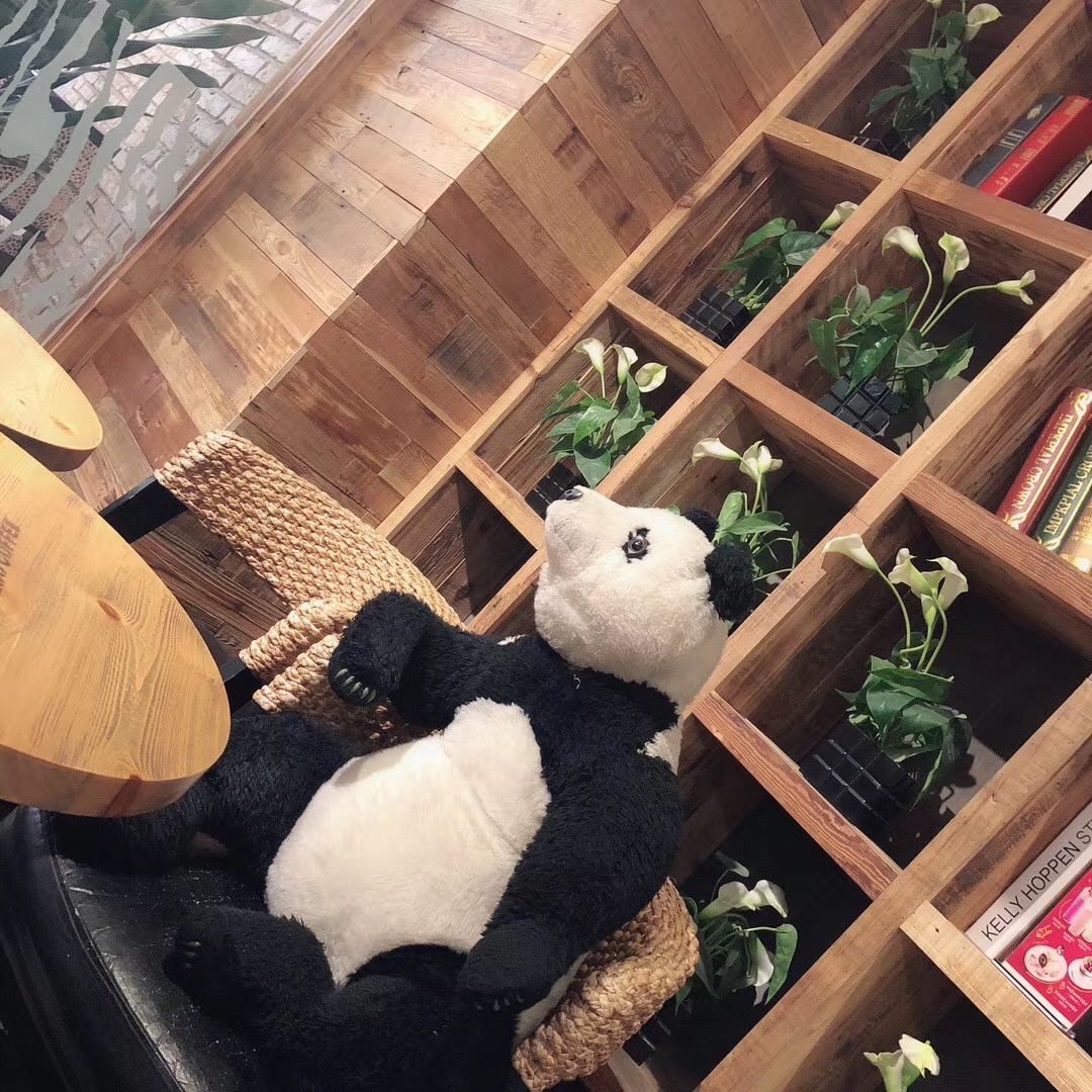没有高中基础的社会考生该怎样复习，迎接高考？