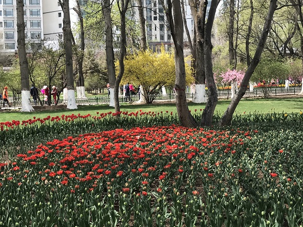 高中班主任强制要求走读生上早自习合理吗？