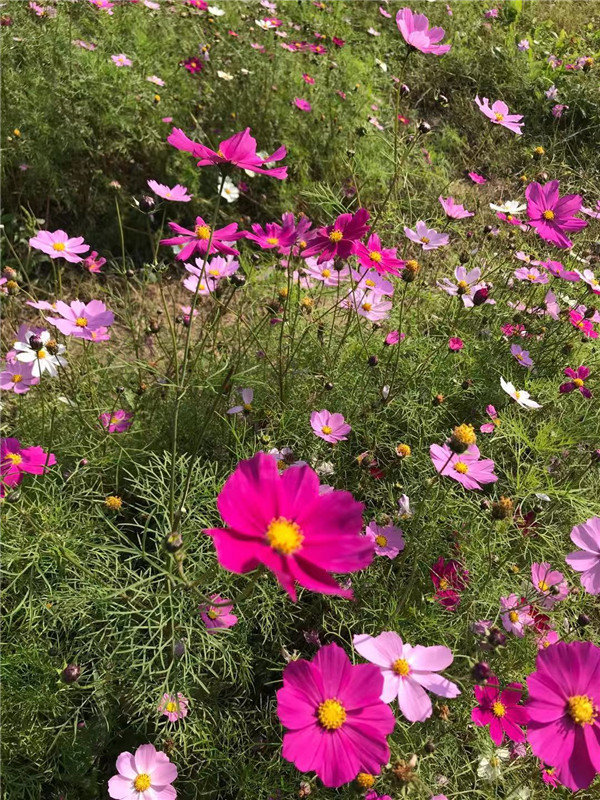 6月份我们有哪些考试日历呢?盘点6月广西区内