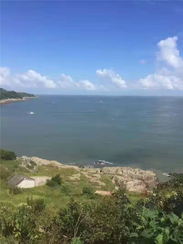 初中生成绩不好,上高中好还是职业学校好?