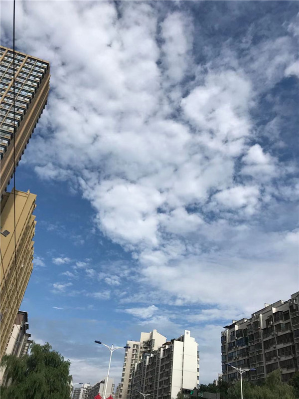 初中生成绩不好,上高中好还是职业学校好?