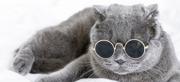 高中没读完可以读大专吗?