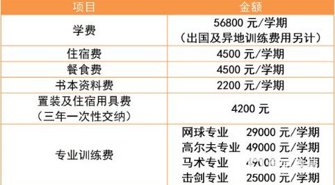 武汉海淀外国语实验学校各年级最新学费  海淀外国语实验学校介绍