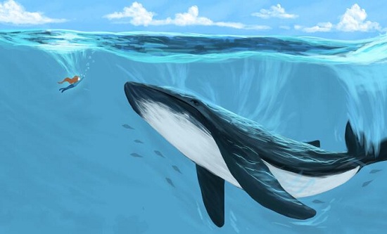 艺考必备干货:联考指什么?校考指什么?两者有什么联系?