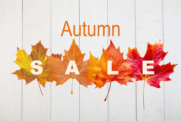 高考报名预留的手机号到报志愿时可以更改吗？