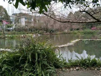 南京秦淮外国语学校均衡分班结果，附秦外2018届新初一各班老师介绍