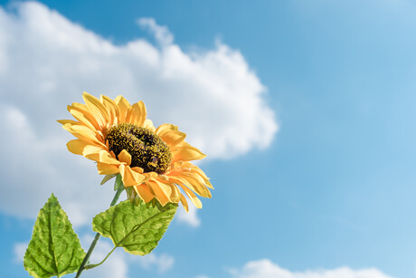 云南5.9级地震，六岁男孩上演教科书式避险，获专家点赞