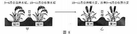 江淮十校2019届高三第一次联考【地理】试卷及答案解析 