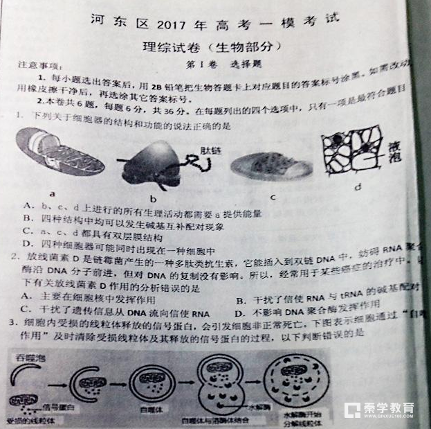 补习一年，怎样提高理综分数？