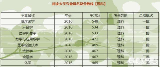 延安大学是一所什么层次的大学？