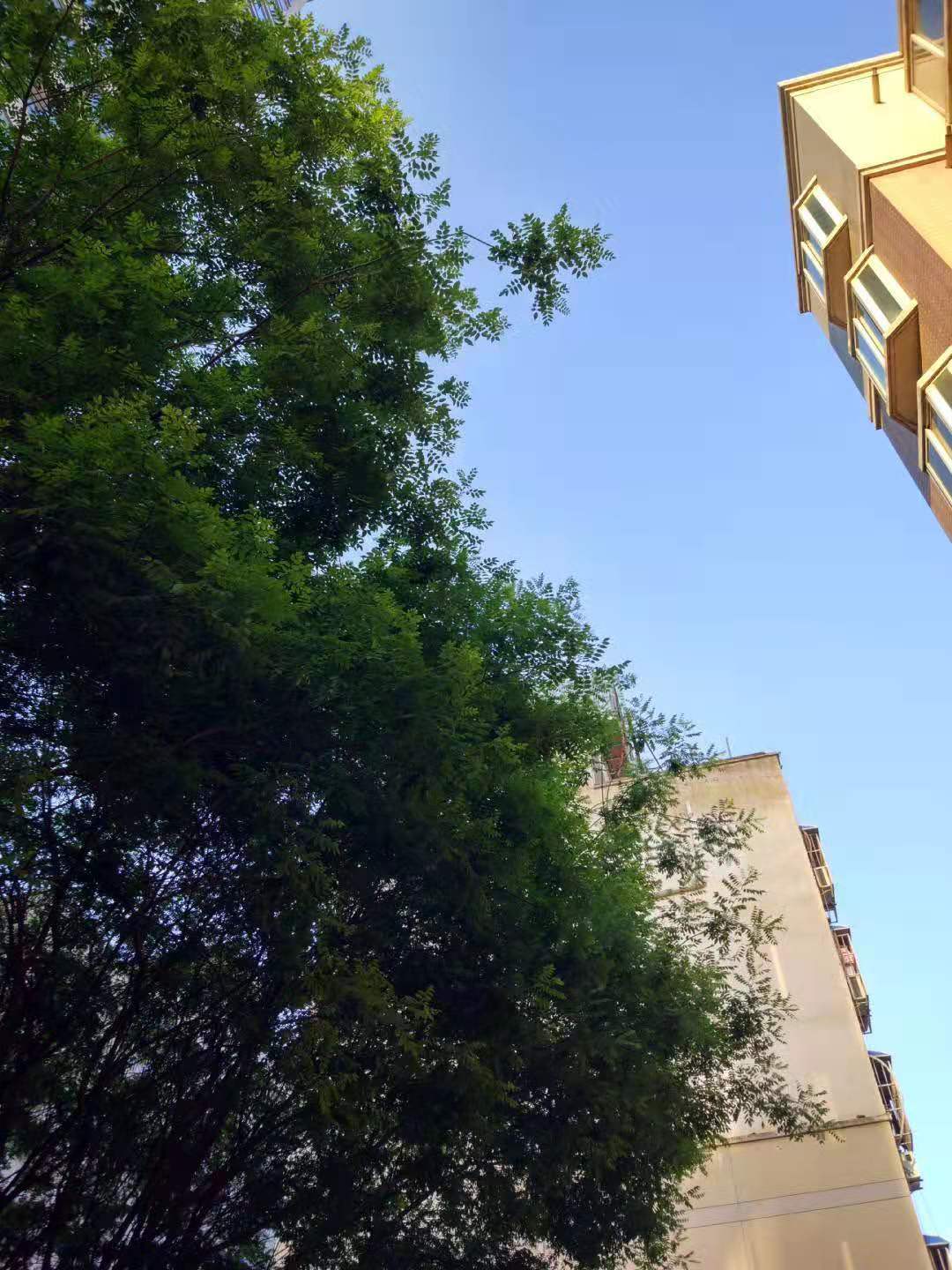 延安大学是一所什么层次的大学？