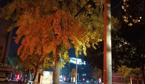 “新高考”，将会怎么考？
