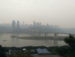 初三学生戒不掉手机，该怎么办？