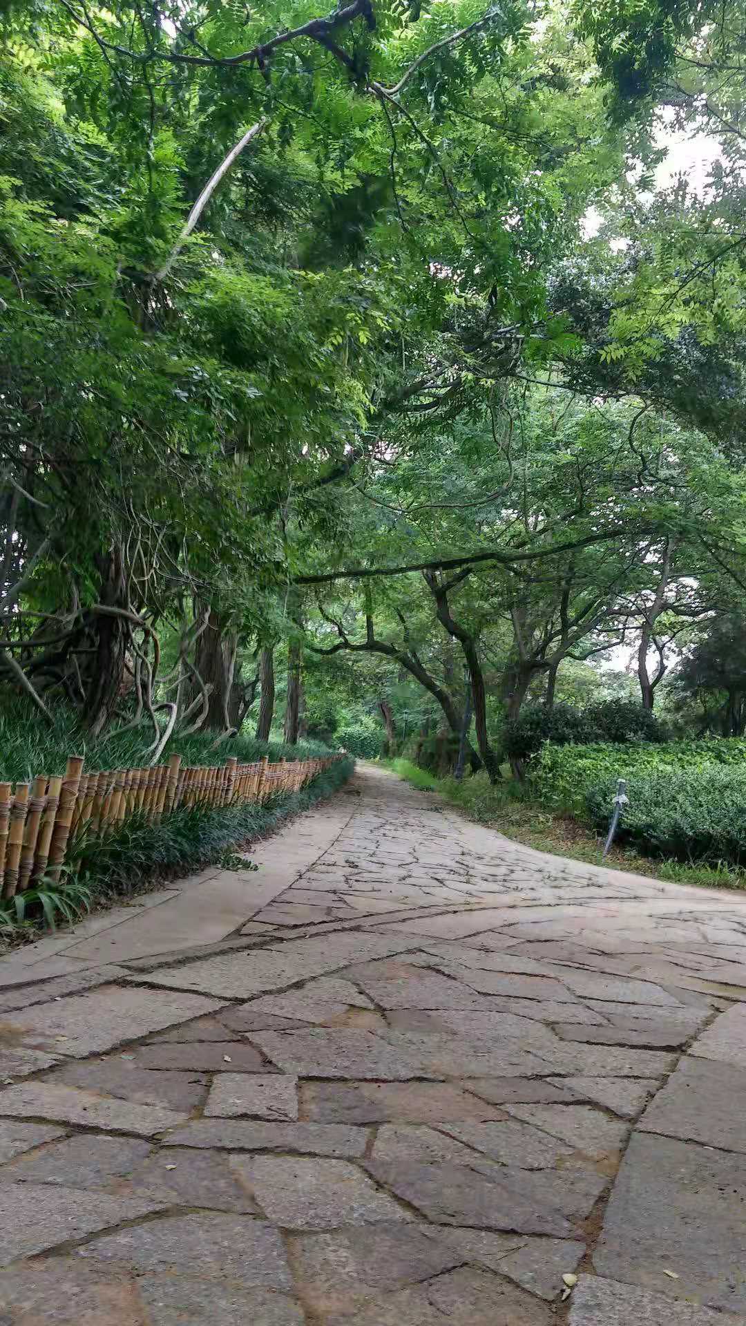 第二届全国中学生地球科学竞赛（地球奥赛）预赛报名推迟至10月4日