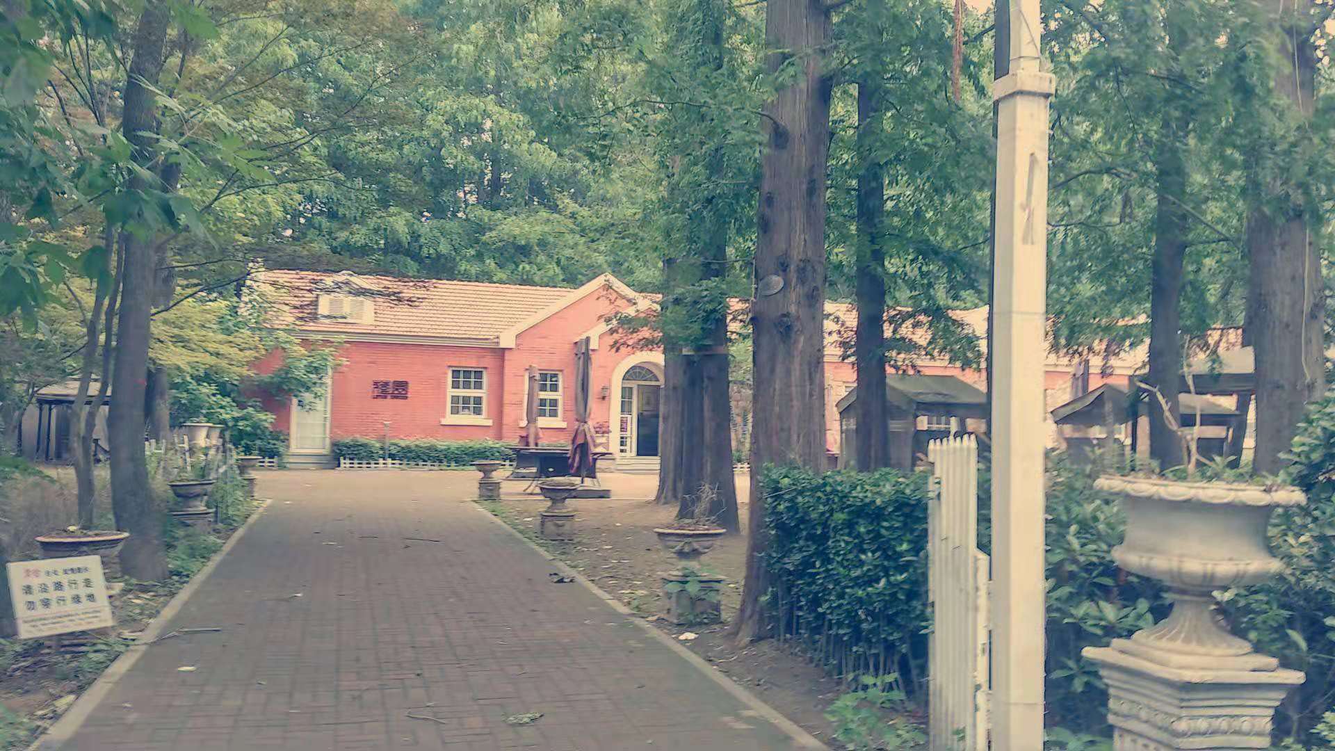 开学第一课因教育类商业广告太多延播遭不满，央视致歉家长和学生