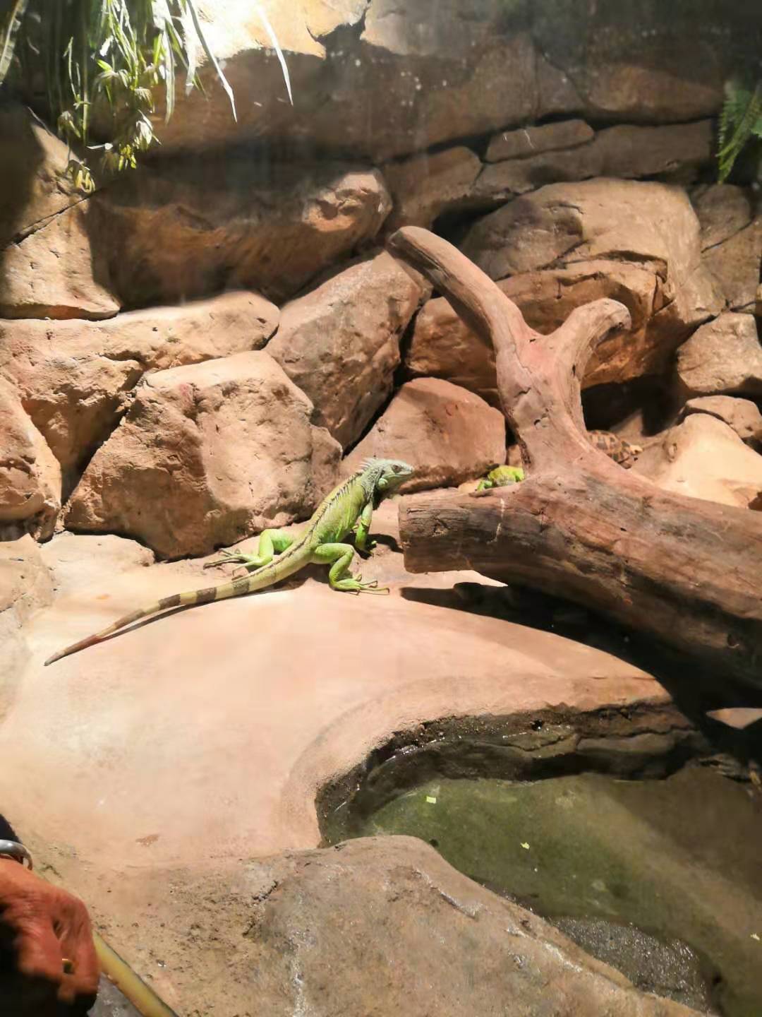 在桂林航天工业学院就读是怎样的体验?