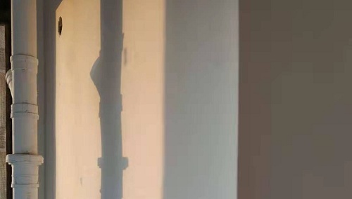 武汉有哪些好的小学或初中？
