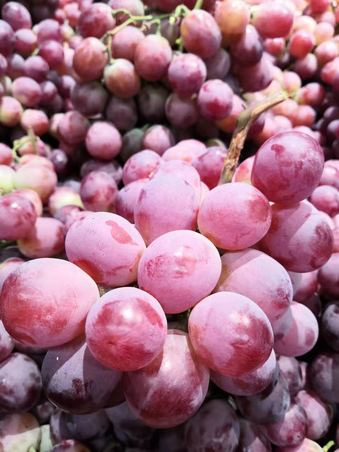 江苏高校排名是怎样的？