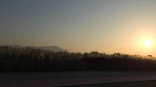 西北工业大学和大连理工怎么选？有什么建议吗？