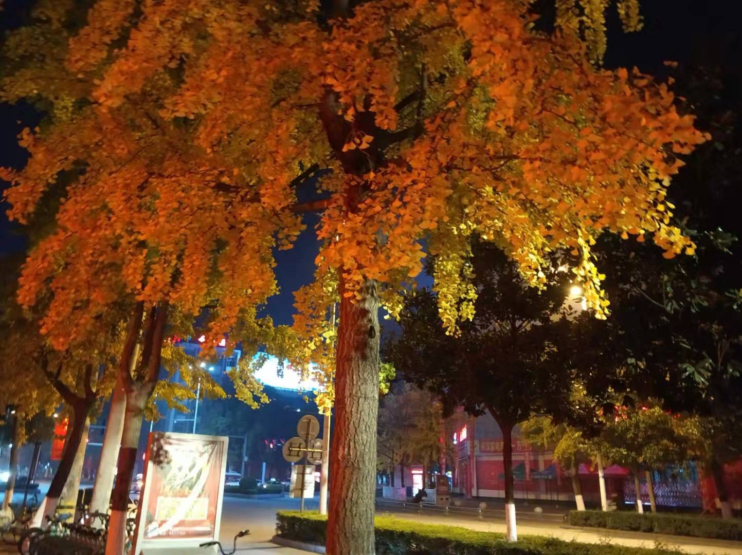 西北工业大学和大连理工怎么选？有什么建议吗？