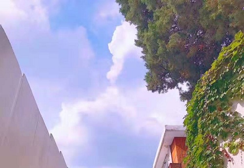 《校园暴力报告》显示校园暴力起因、校园暴力多发地