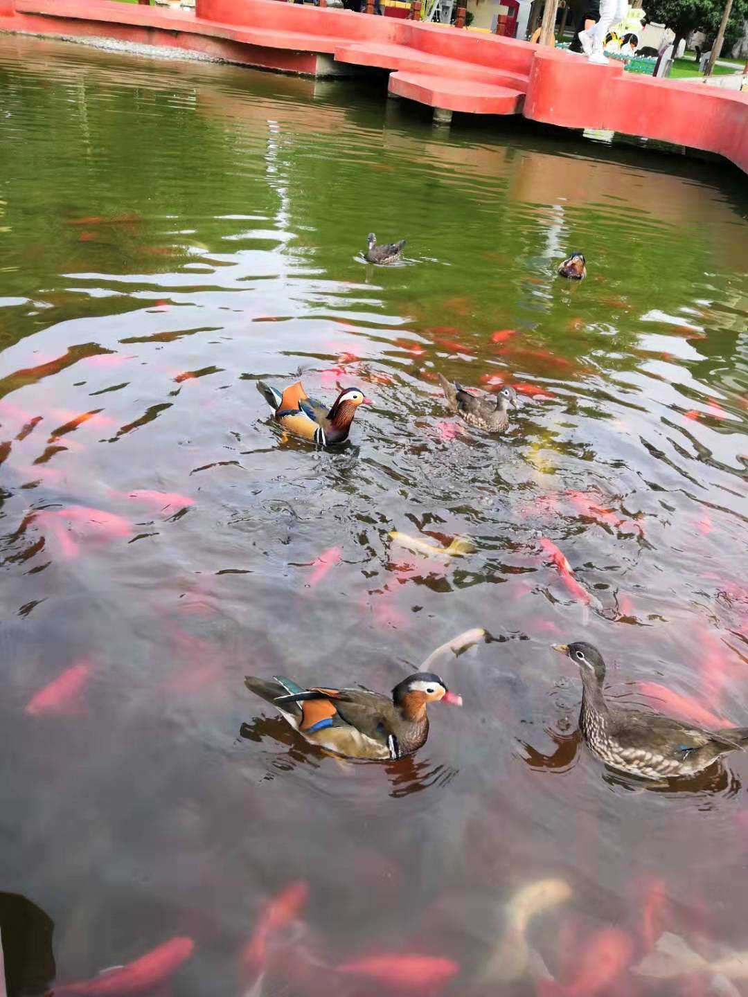 福州有几个大学?