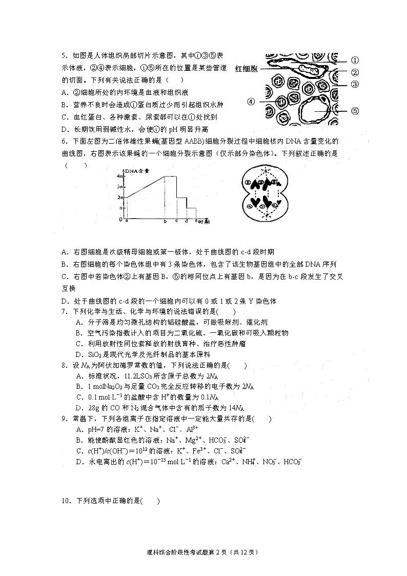 成都七中2019届高三上学期期中考试【理科综合】试题及参考答案汇总！