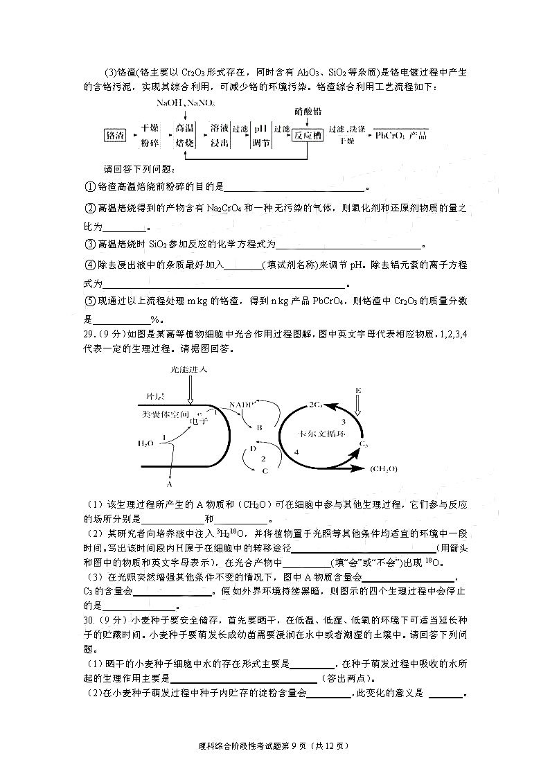 成都七中2019届高三上学期期中考试【理科综合】试题及参考答案汇总！