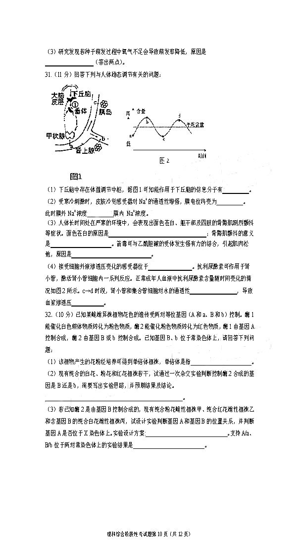 成都七中2019届高三上学期期中考试【理科综合】试题及参考答案汇总！