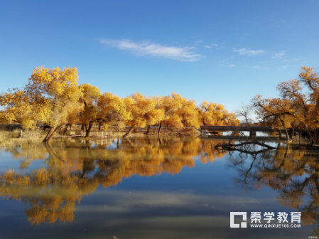 怎样学好高一物理？高一物理怎样才能学好？