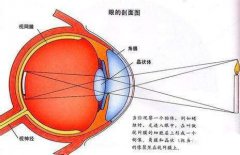 实像和虚像的区别是什么|成都初中物理知识汇总