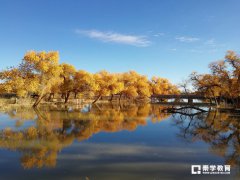 人中之龙、龙蛇混杂，龙字还可以组成哪些成语？