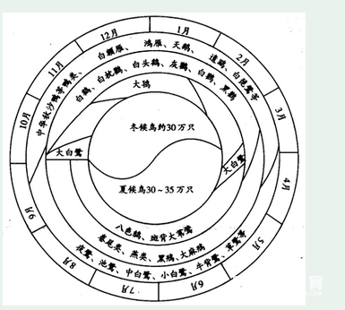 　2019届长春外国语学校高三地理阶段测试试题!附答案!