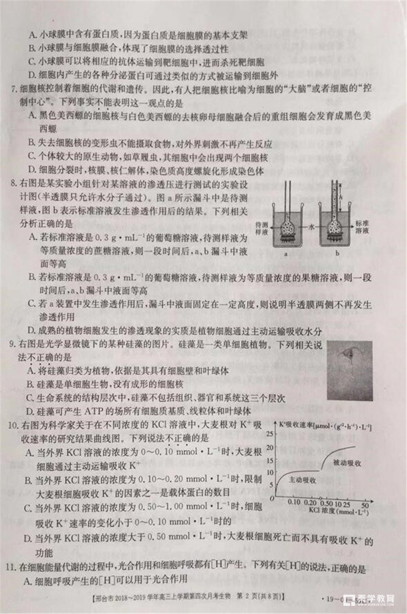 2019年河北邢台市高三第四次月考生物试题及参考答案 邢台一模