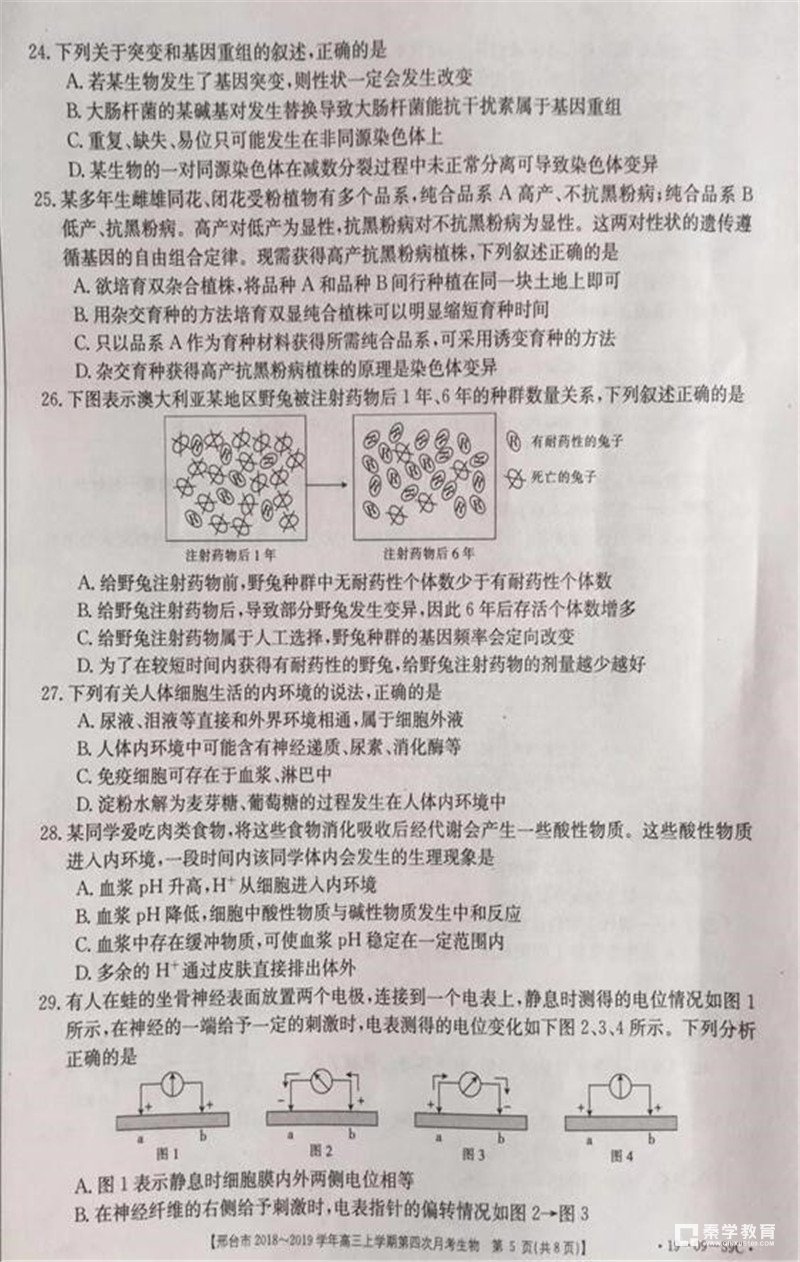 2019年河北邢台市高三第四次月考生物试题及参考答案 邢台一模