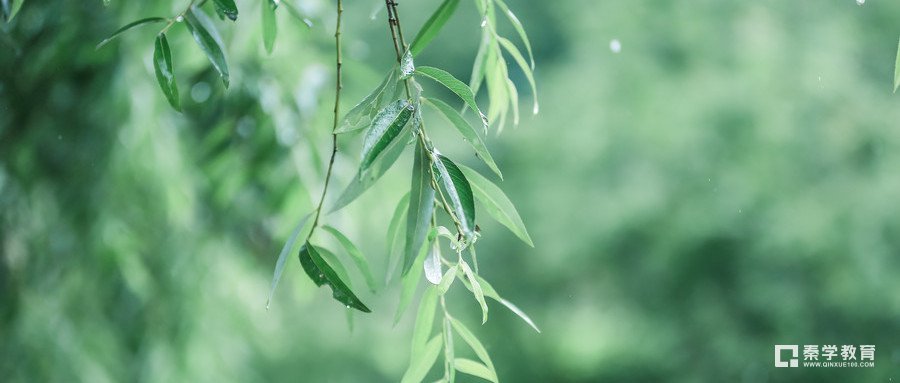 "苍苍竹林寺,杳杳钟声晚."中的杳杳用的恰到好处,为什么说用的恰到好处??