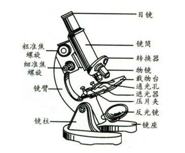 显微镜和望远镜你知道多少?《显微镜和望远镜》精讲!!